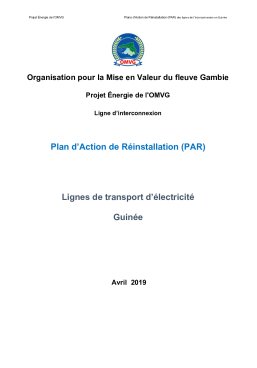 plan-daction-de-reinstallation-par-des-lignes-de-transport-delectricite-guinee.pdf.jpg
