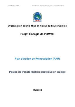 plan-daction-de-reinstallation-par-postes-de-transformation-electrique-en-guinee.pdf.jpg
